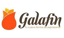 GALAFIN S.A.C.